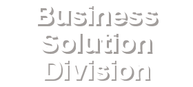 Business Solution Division